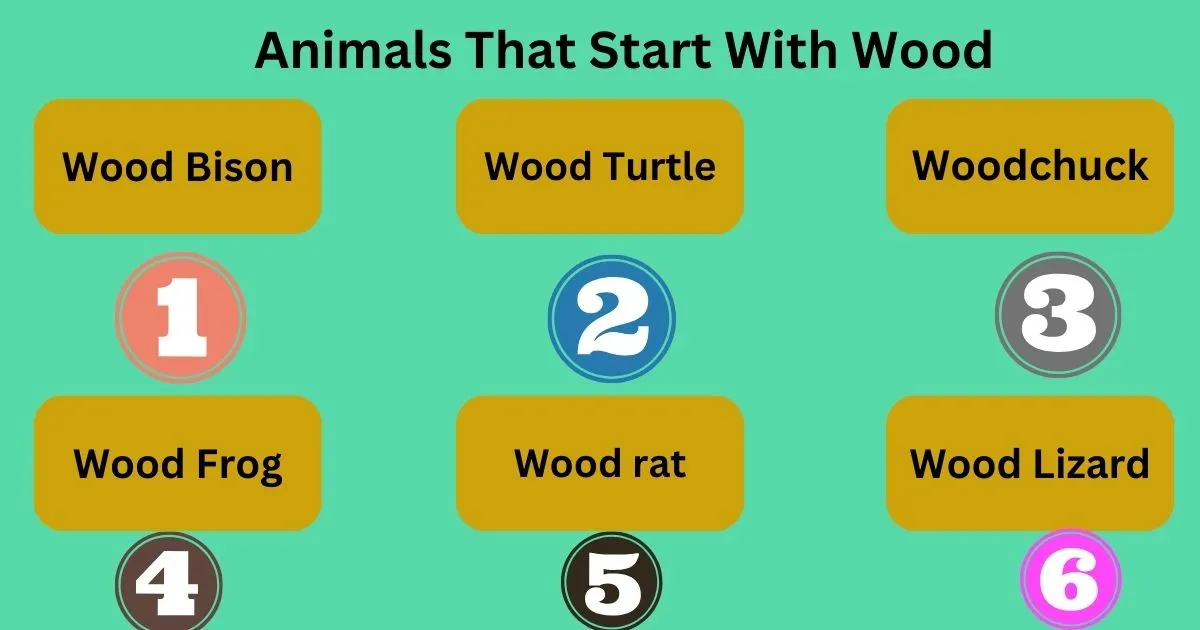Animals That Start With Wood